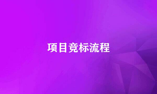 项目竞标流程