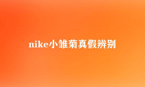 nike小雏菊真假辨别