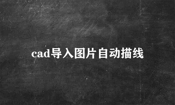 cad导入图片自动描线