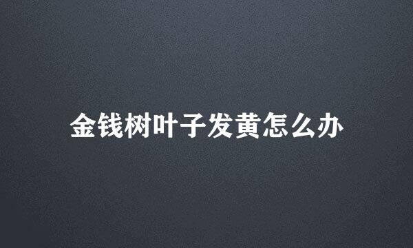 金钱树叶子发黄怎么办