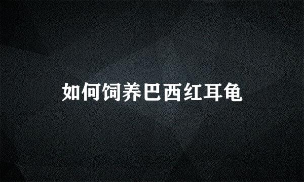 如何饲养巴西红耳龟