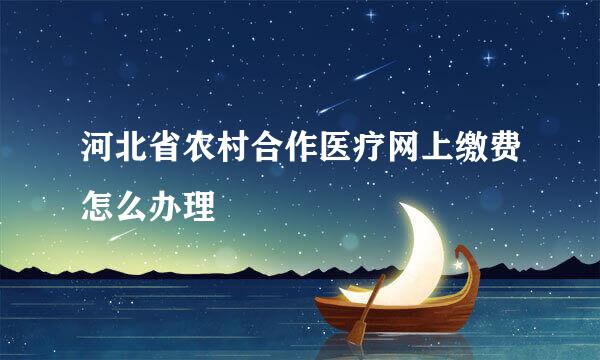 河北省农村合作医疗网上缴费怎么办理