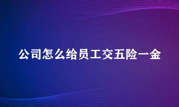 公司怎么给员工交五险一金
