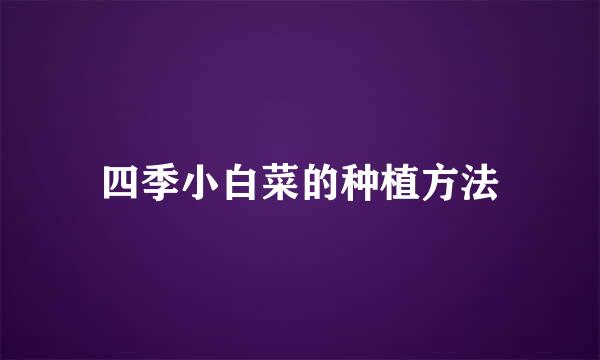 四季小白菜的种植方法