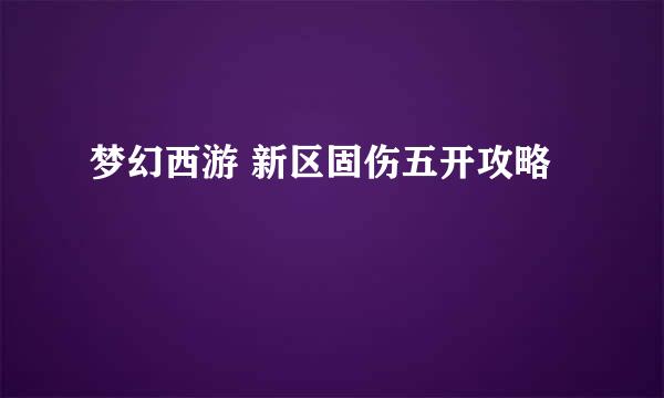 梦幻西游 新区固伤五开攻略