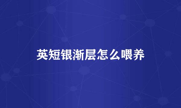 英短银渐层怎么喂养