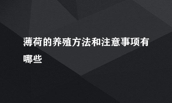 薄荷的养殖方法和注意事项有哪些