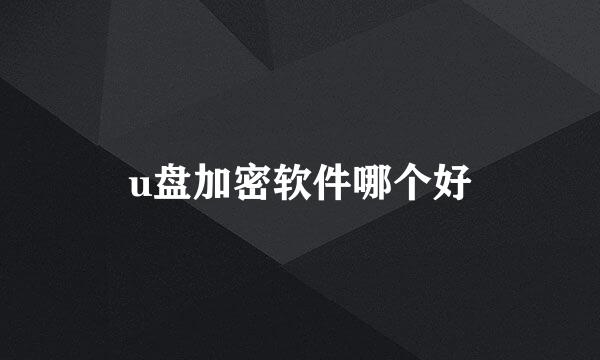 u盘加密软件哪个好