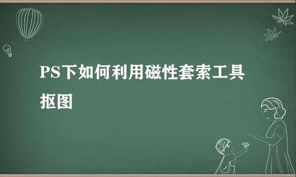 PS下如何利用磁性套索工具抠图