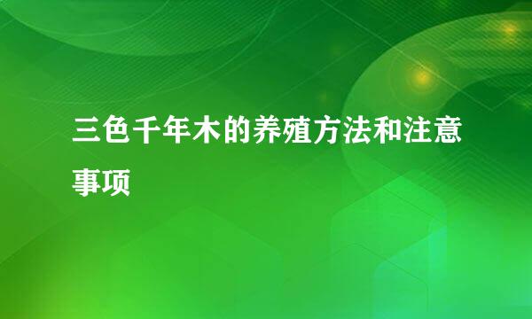 三色千年木的养殖方法和注意事项