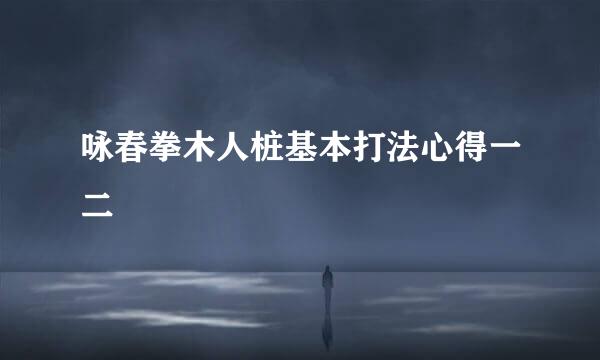 咏春拳木人桩基本打法心得一二