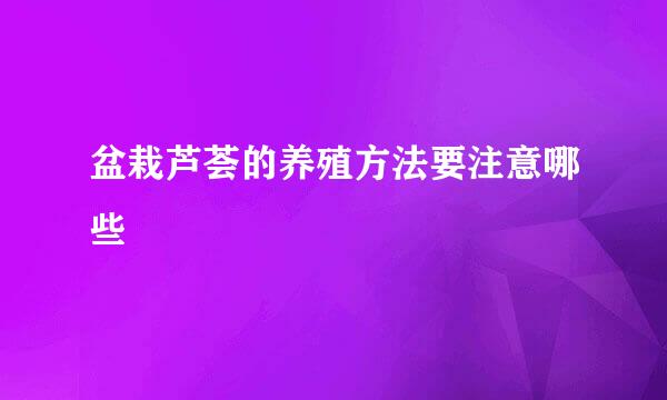 盆栽芦荟的养殖方法要注意哪些