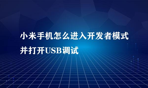 小米手机怎么进入开发者模式并打开USB调试