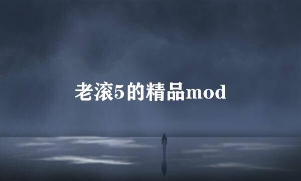 老滚5的精品mod