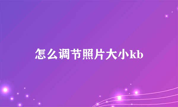 怎么调节照片大小kb
