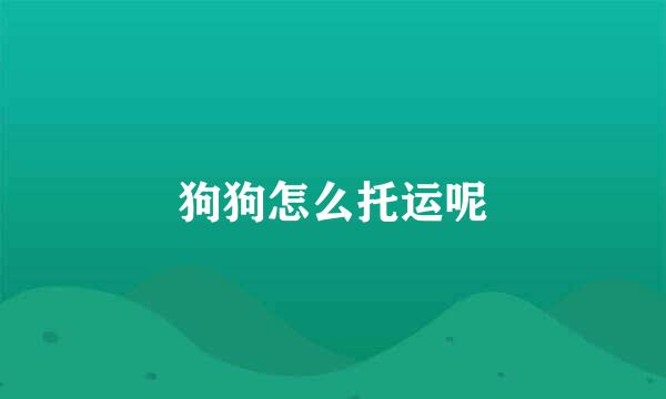 狗狗怎么托运呢