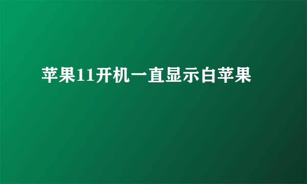 苹果11开机一直显示白苹果