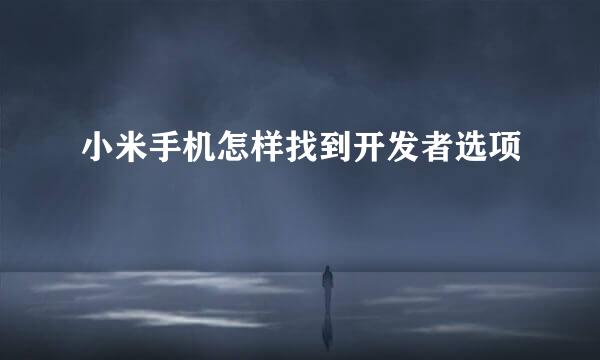 小米手机怎样找到开发者选项