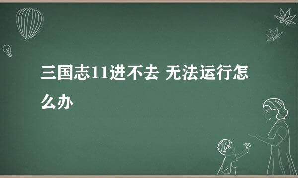 三国志11进不去 无法运行怎么办