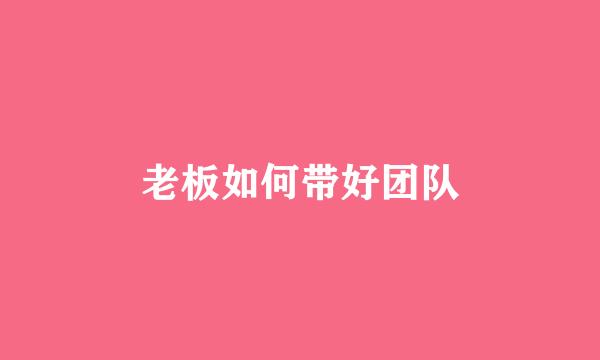老板如何带好团队