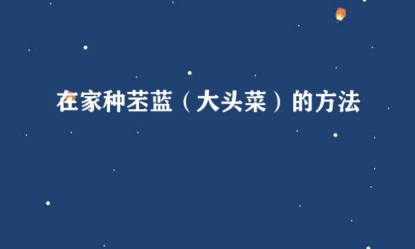 在家种苤蓝（大头菜）的方法