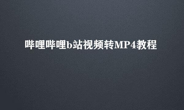 哔哩哔哩b站视频转MP4教程