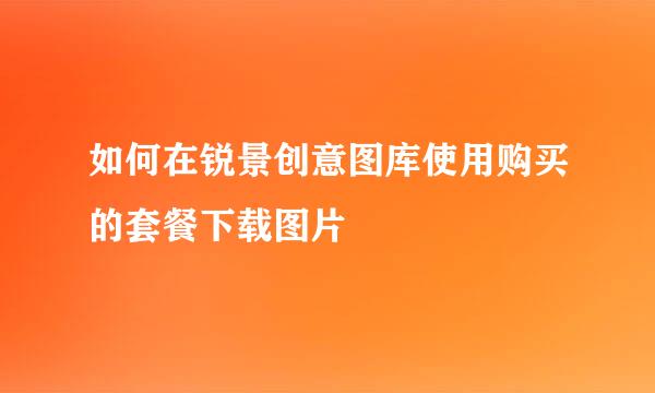 如何在锐景创意图库使用购买的套餐下载图片