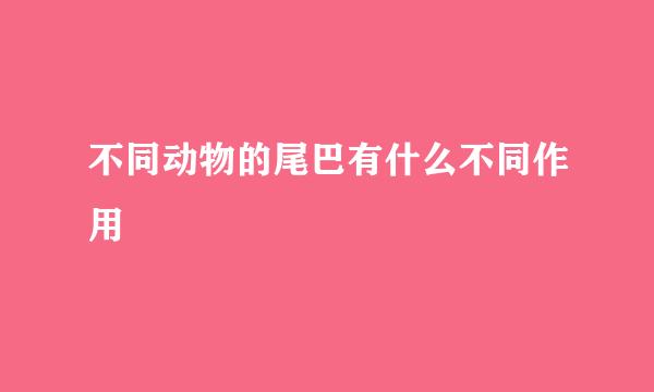 不同动物的尾巴有什么不同作用