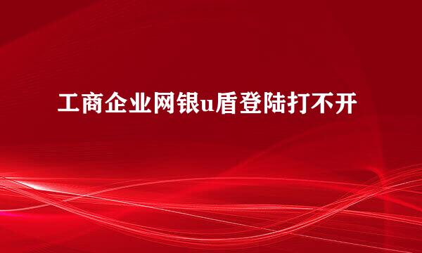 工商企业网银u盾登陆打不开