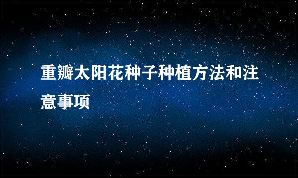 重瓣太阳花种子种植方法和注意事项