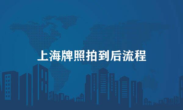 上海牌照拍到后流程
