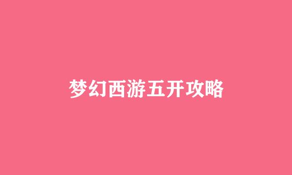 梦幻西游五开攻略