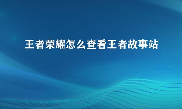 王者荣耀怎么查看王者故事站