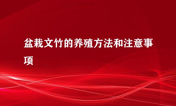 盆栽文竹的养殖方法和注意事项
