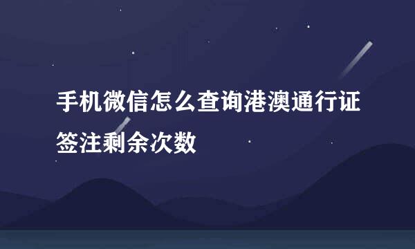 手机微信怎么查询港澳通行证签注剩余次数
