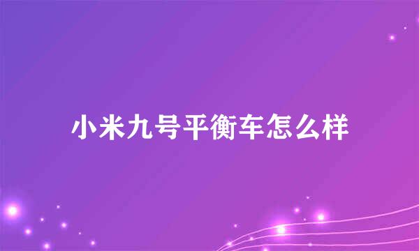 小米九号平衡车怎么样