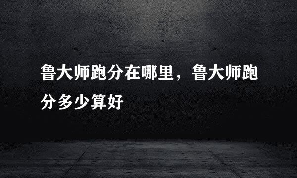 鲁大师跑分在哪里，鲁大师跑分多少算好