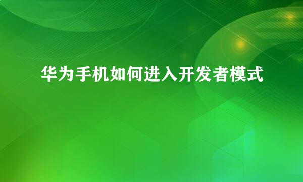 华为手机如何进入开发者模式