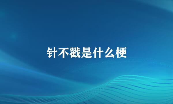 针不戳是什么梗
