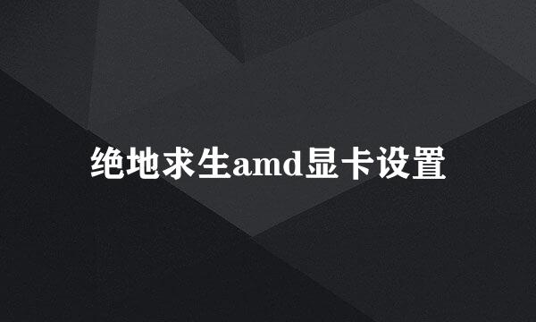 绝地求生amd显卡设置