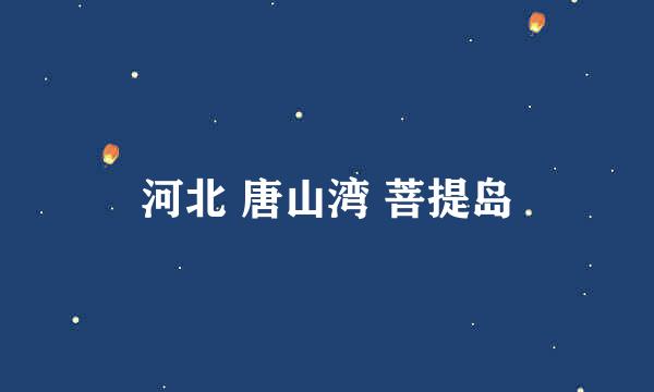 河北 唐山湾 菩提岛
