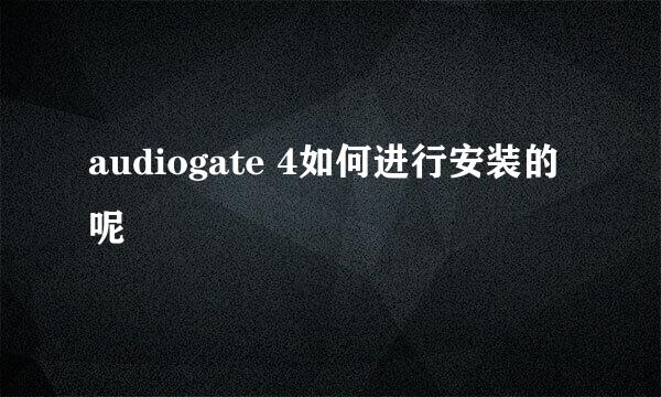 audiogate 4如何进行安装的呢