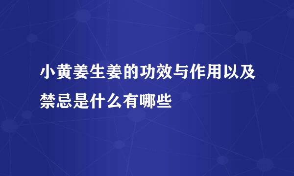 小黄姜生姜的功效与作用以及禁忌是什么有哪些