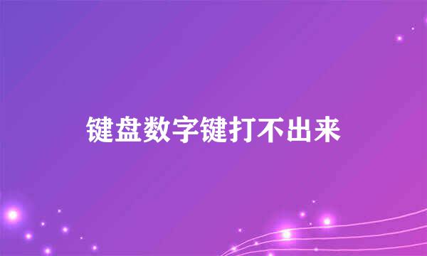 键盘数字键打不出来