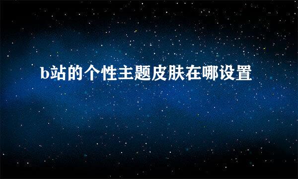 b站的个性主题皮肤在哪设置