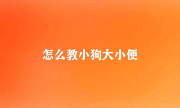 怎么教小狗大小便