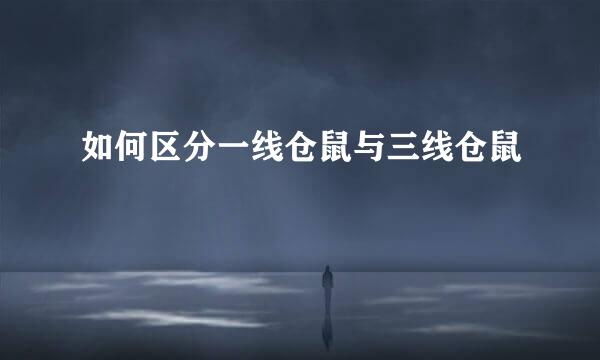 如何区分一线仓鼠与三线仓鼠