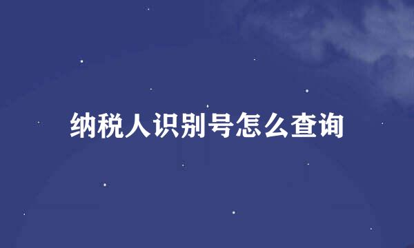 纳税人识别号怎么查询