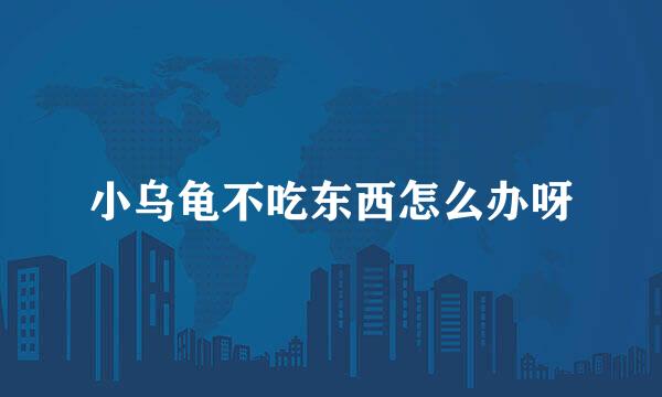 小乌龟不吃东西怎么办呀