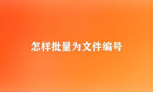怎样批量为文件编号
